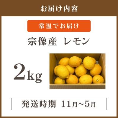ふるさと納税 宗像市 【11月〜5月順次発送】宗像産レモン2kg【道の駅むなかた】_HA1817 |  | 03