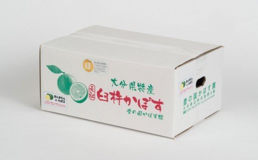 【先行予約】種が少ないから使いやすい！佐々木さんの「種無し（小種）カボス」約4kg