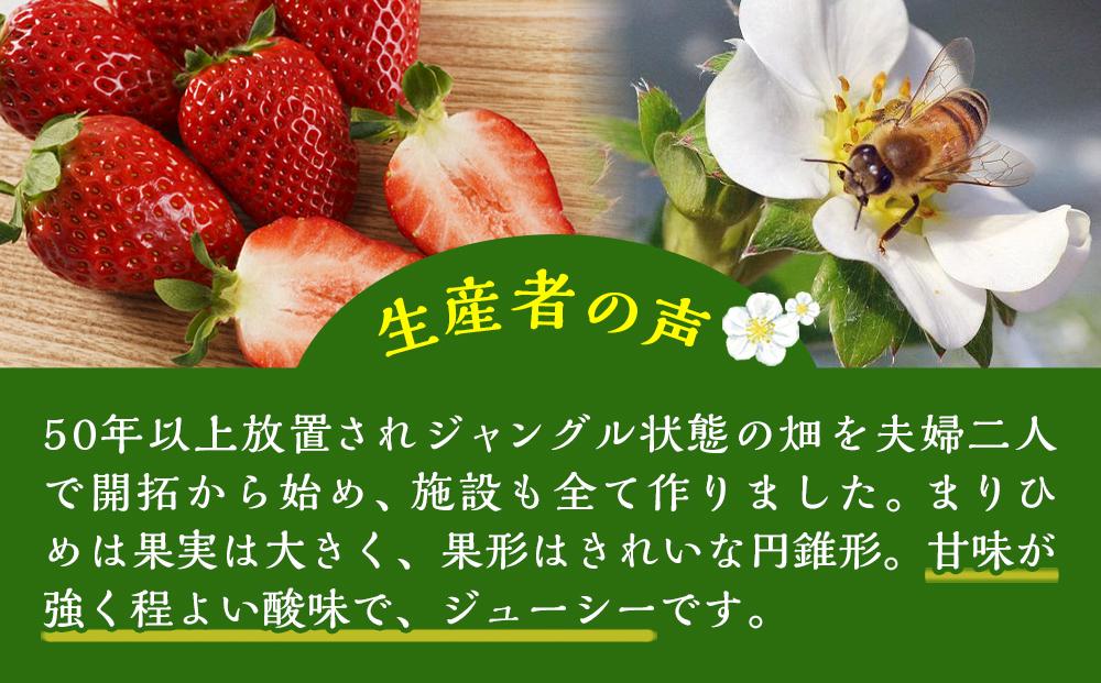 まりひめ 4パック【2025年1月発送分】