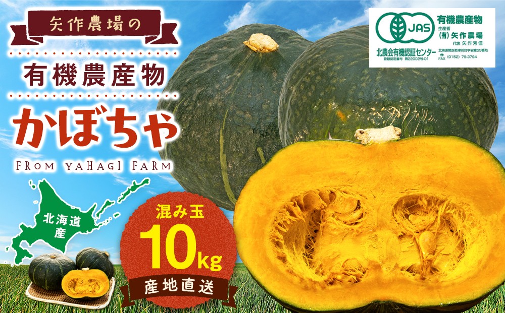 
                  【先行受付】R8年産 有機栽培かぼちゃ 10kg | 北海道津別町
                