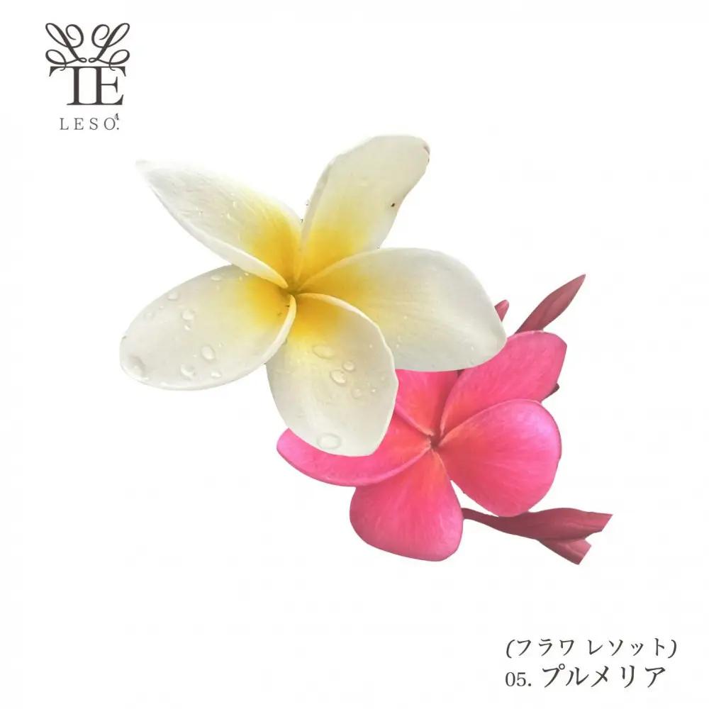 本物の花の香り リード・ディフューザー【プルメリア】