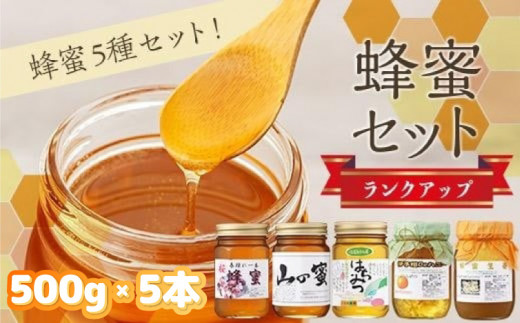 ランクアップ蜂蜜セット （生姜 しょうが ショウガ しょうがはちみつ漬け 生姜はちみつ しょうがはちみつ お土産 はちみつ ハチミツ はちみつ漬けみかん みかん 伊予柑 いよかん 国産 国産はちみつ 国産ハチミツ 国産蜂蜜 贈答品 楽天ふるさと 納税 愛媛県 愛媛 松山市）