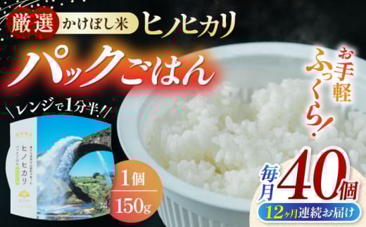【全12回定期便】 【数量限定】いちょうの畑 パックご飯 ヒノヒカリ 150ｇ×40パック パックごはん ひのひかり レトルトごはん 【農事組合法人いちょう】 [YDN008]
