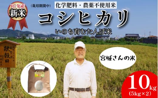 【令和7年産新米】米 コシヒカリ 10kg 天皇献上米 (栽培期間中）化学肥料・農薬不使用米 白米 精米 こめ  ご飯 備蓄米 ごはん 新米  環境 に優しい 小松島市 上王子特質米 10kg