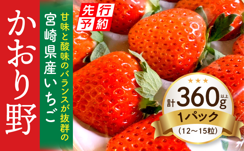 《2025年発送先行予約》【期間・数量限定】宮崎県産いちご「かおり野」1パック（計360g以上：12粒～15粒）_M260-013