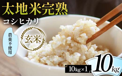 
            2024年産 農薬不使用 太地米完熟 【こしひかり】 玄米 10kg ブランド米 お米 人気 F7X-0334
          