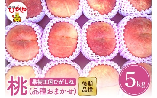 【2026年産 先行予約】もも「品種おまかせ」5kg (後期品種) 滝口観光果樹園提供 山形県 東根市 hi030-045