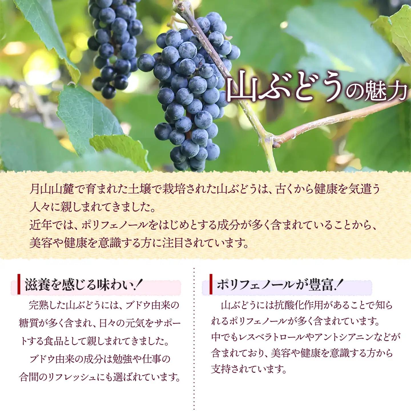 うらやま農園の完熟山ぶどう原液　500ml×２本　山形県鶴岡市　K-844　| やまぶどう 飲料 果汁 飲料 ポリフェノール 贈り物 ギフト お取り寄せ 返礼品