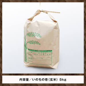 【令和6年産】 黒木農園のお米 「いのちの壱(玄米)」 5kg 【 米 お米 玄米 国産 宮崎県産 いのちのいち おにぎり 】