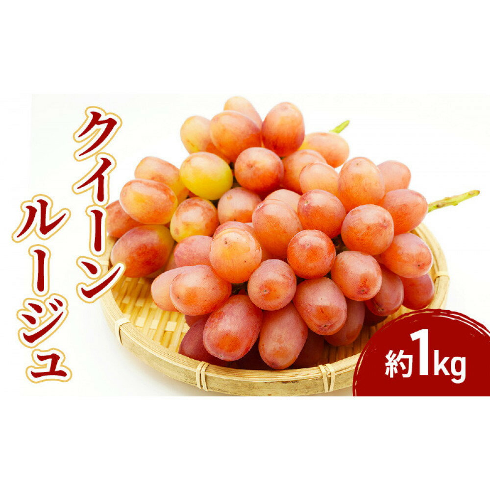【ふるさと納税】2026年産先行予約クイーンルージュ＠ 1kg　果物 フルーツ ぶどう　長野県