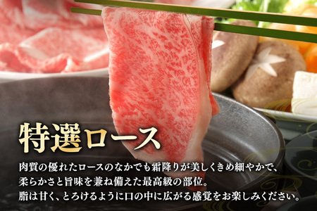 飛騨牛 A5～4等級 しゃぶしゃぶ用 (特選ロース) 700g (A01-010)