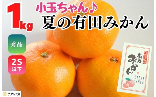 
                  【5月出荷予定】小玉ちゃん ハウスみかん 温室栽培 夏の有田みかん 1kg 秀品 2Sサイズ以下 和歌山県 産地直送 みかんの会
                