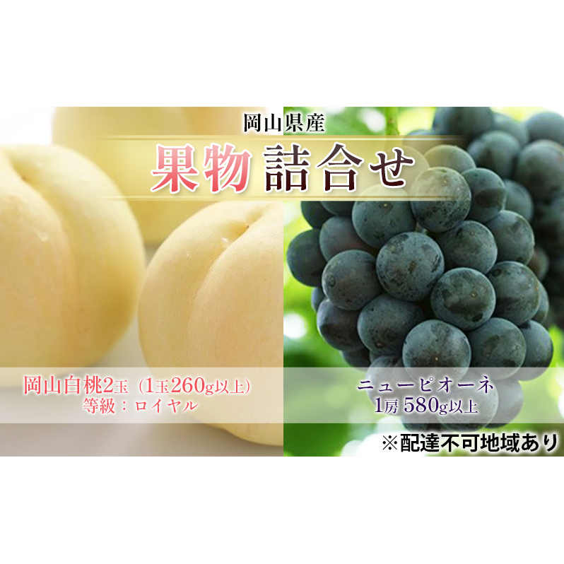 ぶどう 2025年 先行予約 果物 詰合せ 岡山 白桃 2玉 等級：ロイヤル（1玉260g以上） ニュー ピオーネ  1房 580g以上 もも 葡萄 岡山県産 国産 フルーツ 果物 ギフト