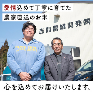 【令和8年産】＜先行予約受付中！R8年9月上旬から発送開始予定＞＜3か月定期便＞ 五百川 合計30kg (10kg×3回) お米 おこめ 米 コメ 白米 早場米 極早生品種 ご飯 ごはん おにぎり お