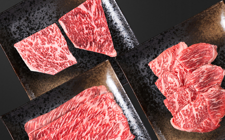 【宮崎牛】赤身堪能セット　計600g　4等級以上　国産牛肉＜1.5-27＞Y