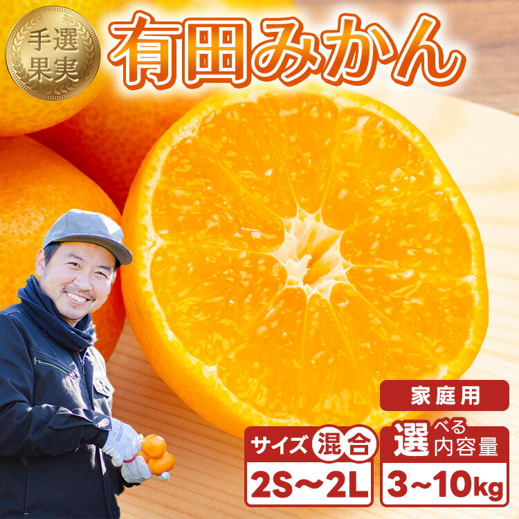 【ふるさと納税】【まごころ手選別】【選べる内容量】和歌山産 有田みかん 家庭用｜みかん ミカン mikan 柑橘 フルーツ 果物 訳あり※2025年11月上旬～2026年1月下旬頃に順次発送予定