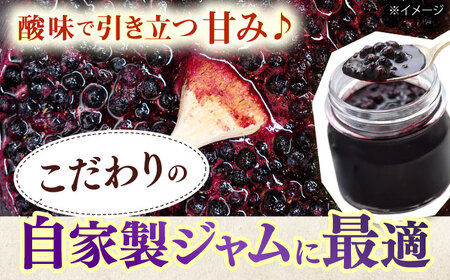 佐々町産訳あり冷凍ブルーベリー1kg[QAT019]