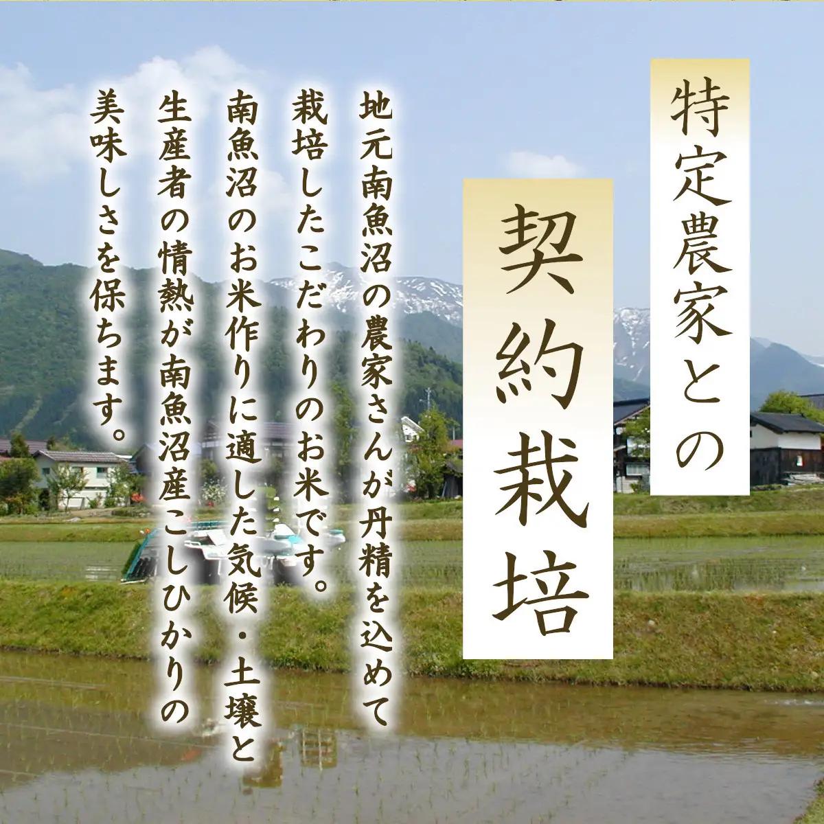 氷温熟成南魚沼産こしひかり　パックご飯180g×12｜パックご飯