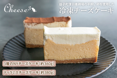 3層のNYチーズケーキ ティラミスチーズケーキ 冷凍 ハーフ＆ハーフ CP003