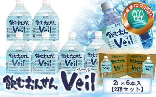 
水 10年保存水 飲むおんせんベール2L×6本入【2箱セット】【 温泉水 温泉純度100％ 保存水 長期保存 備蓄 水 ミネラルウォーター 災害 災害用 備蓄用 10年 防災 水 保存水 備蓄水 防災用品 神奈川県 山北町 】
