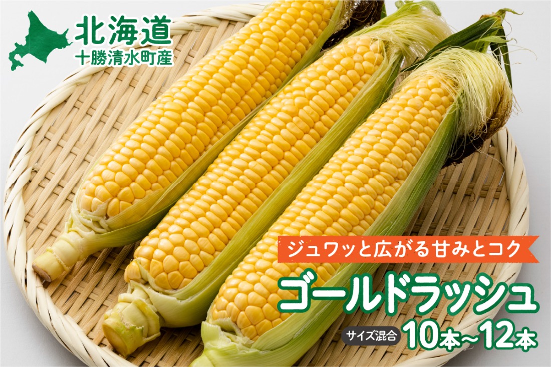 【2025年8月～発送開始！】北海道十勝清水町産 黄金の甘さ ゴールドラッシュ！サイズ混合 10～12本 北海道産 2025年 とうもろこし とうきび 産直 産地直送 清水町 北海道_ S021-0019