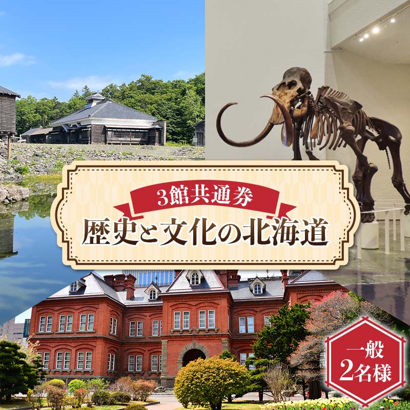 歴史と文化の北海道3館共通券 一般2名様分 人気 おすすめ 利用券 チケット F6S-520