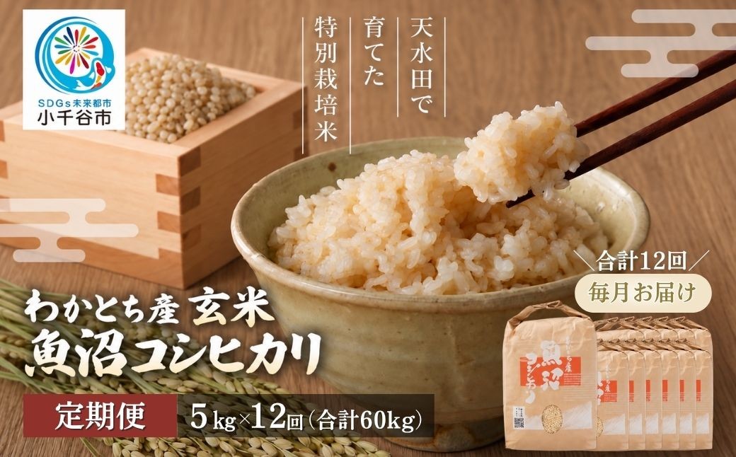 
                  【12か月定期便 コシヒカリ】令和8年産 玄米 魚沼産コシヒカリ 特別栽培米 わかとち産 棚田米 合計60kg（5kg×毎月お届け全12回）Mt.ファームわかとち | 魚沼産こしひかり 魚沼コシヒカリ 新潟県産コシヒカリ 新潟産コシヒカリ こしひかり 特別栽培米 棚田米 わかとち お米 米 白米 玄米 コメ 5キロ 定期便 にいがた おぢや 新潟県 小千谷市 【0013-0015DB00】
                