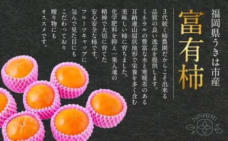 【先行予約】西見柿農園 富有柿 9玉から11玉 (約3kg) 【2026年11月上旬-12月上旬発送予定】 柿 かき カキ 果物 くだもの フルーツ 果実 ジューシー お取り寄せ 福岡県 うきは市