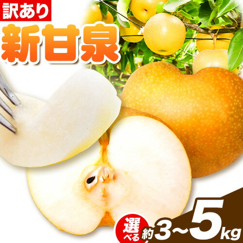 【ふるさと納税】【2025年先行予約】訳あり 新甘泉 選べる内容量 約3kg (4-10玉) 約5kg (8-16玉) 2L-6Lサイズ《2025年8月下旬-10月上旬頃出荷》新甘泉 梨 訳あり ご家庭用 鳥取県 八頭町 なし 果物 フルーツ 特産品 送料無料 果汁 デザート 八頭