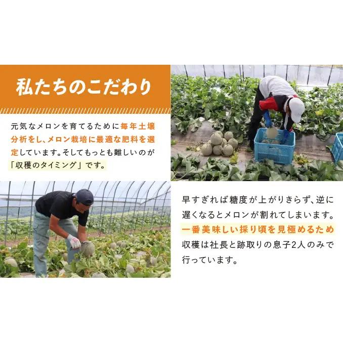 TVで話題【2026年発送】北海道 富良野 赤肉 メロン 2玉 計3.2kg以上