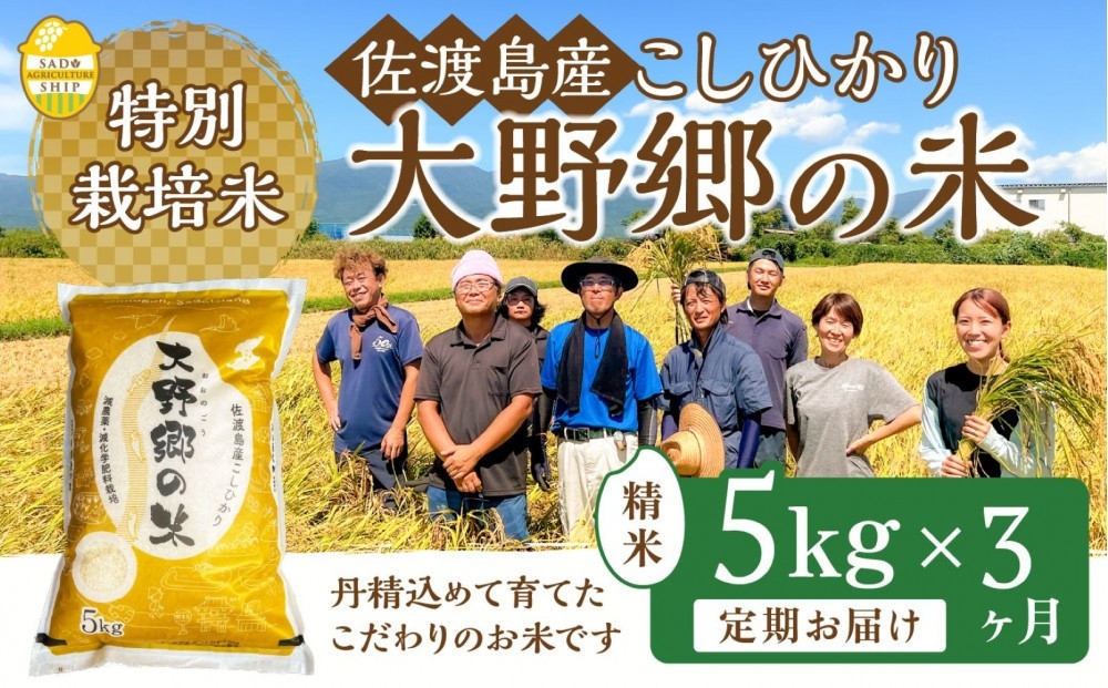 
                  【令和7年産】佐渡島産 特別栽培米こしひかり「大野郷の米」精米5kg×3回 定期お届けコース
                