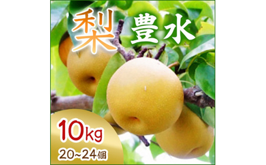 ＜2025年9月より順次発送＞豊水 10kg 20～24個(県内共通返礼品:石岡市産) (BR034)