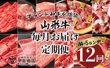 【定期便12回】ブランド和牛を堪能！！山形牛毎月お届け定期便 FY20-776