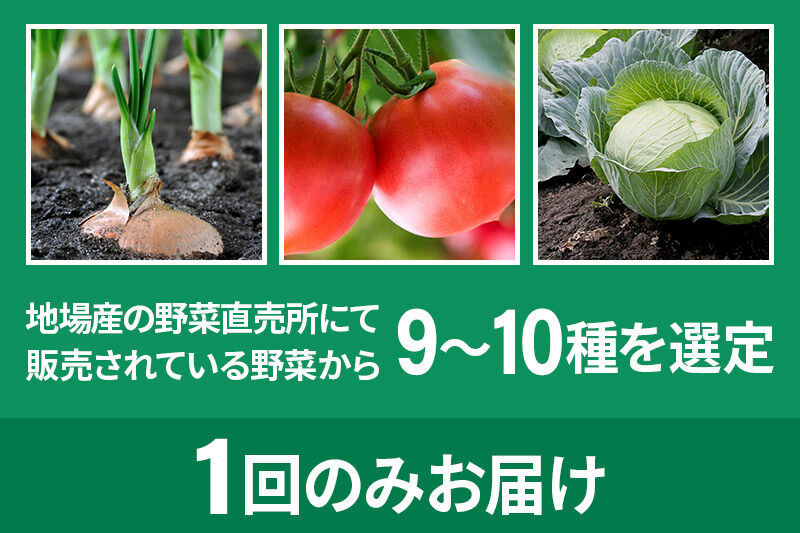 季節のお野菜 おまかせセット B（9〜10種類）詰め合わせ [【野菜セット】お任せ おまかせ 野菜 やさい ヤサイ 詰め合わせ セット]