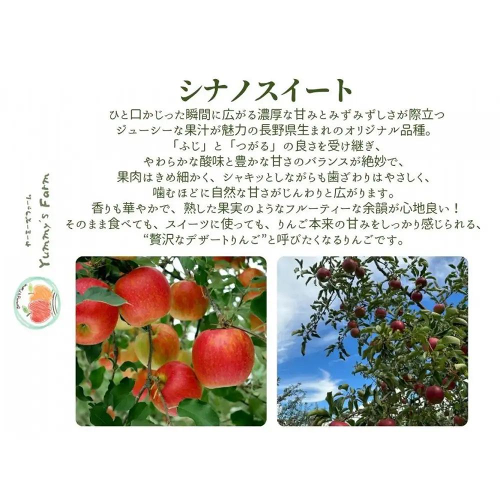 【訳あり】ヤーミーズファーム　生産農家直送 人にやさしい 長沼りんご・シナノスイート3kg（ご家庭用） |  りんご 林檎 フルーツ 果物 シナノスイート 家庭用 長沼 おすすめ 人気 送料無料 長野