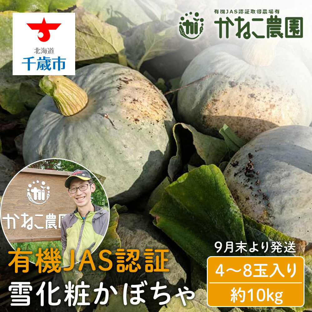 【ふるさと納税】有機雪化粧かぼちゃ 4～8玉入り（約10kg）【かねこ農園】【2025年9月末より発送】北海道ふるさと納税 野菜 南瓜 有機栽培 有機野菜 JAS認定圃場 北海道 【北海道千歳市】