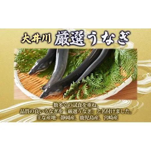 厳選 国産 鰻蒲焼 5尾 ウナギ たれ 山椒 鰻 養殖 ブランド 土用 丑の日 蒲焼き 熟練の技 冷凍 ふっくらうなぎ 割烹 にし村 専門店 お取り寄せ 贈り物 贈答用 ギフト ご馳走 うな丼 うな重