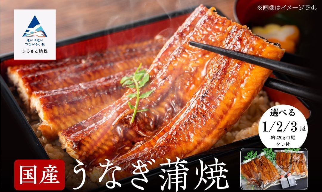 
            【真空パック】国産うなぎ蒲焼 選べる 1尾 / 2尾 / 3尾 鰻かば焼き タレつき 関西風 小松市 石川県 【株式会社竹本商店】
          