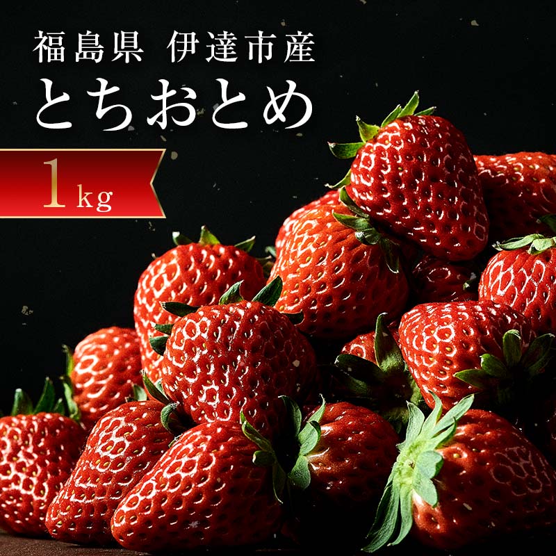 【ふるさと納税】＜2026年発送＞伊達市霊山で採れるいちご「とちおとめ」1kg （250g×4パック） イチゴ 苺 F20C-532