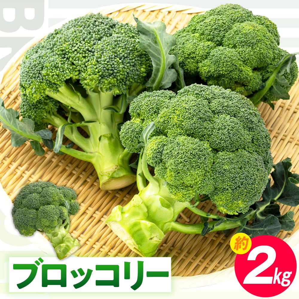 【ふるさと納税】ブロッコリー 約2kg【2025-11月中旬～2026-5月下旬配送】 | 国産 国産ブロッコリー 冷蔵 野菜 緑黄色野菜 新鮮 鮮度 栄養豊富 栄養価 お弁当 おかず 彩り ベジタブル ベジタリアン 自宅用 家庭用 ご家庭用 グルメ 料理 温野菜 サラダ 高松市産