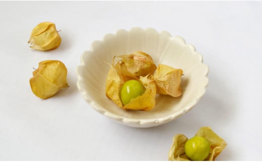 食べられる！ほおずき「キャンディーランタン」6袋（2025年6月までの期間限定）