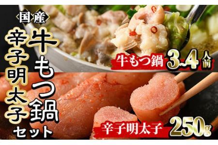国産牛もつ鍋(3～4人前)・辛子明太子(250g)セット  モツ鍋 もつ鍋セット 牛モツ 牛肉 ホルモン 明太子 めんたいこ ちゃんぽん チャンポン お取り寄せ＜離島配送不可＞【ksg0022】【樽味屋】