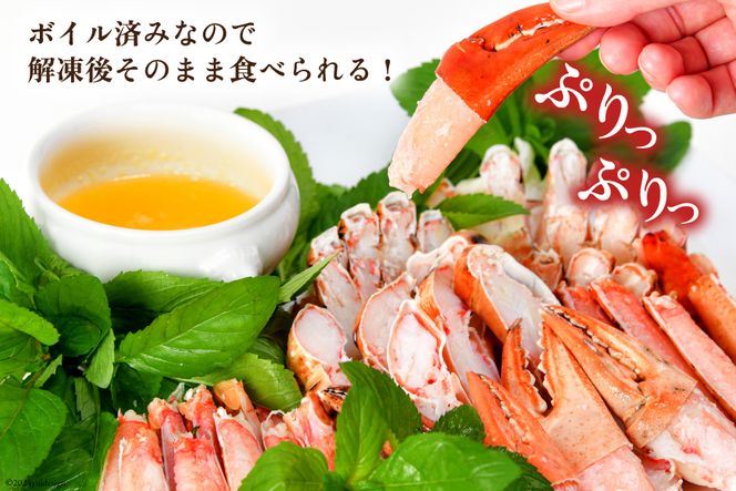 大人気！リピーター続出 まるずわいがに 肩脚肉 総重量1kg (3-5肩相当) かに カニ かに物語 / カネダイ / 宮城県 気仙沼市