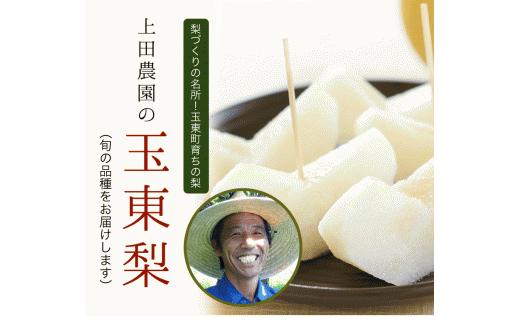 『上田農園』の玉東梨 《8月中旬-10月上旬頃出荷》 約3kg 3-10玉前後 『上田農園』なし ---sg_cuedanashi_g810_25_11500_3kg---