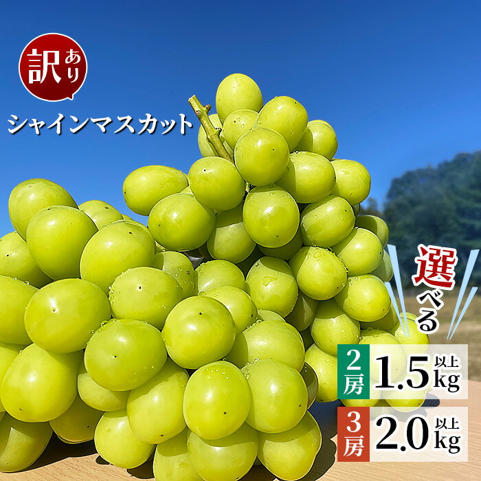 【ふるさと納税】訳あり 先行予約 種無し ぶどう 種なし 果物 フルーツ ブドウ 【訳あり】シャインマスカット 選べる 内容量【2026年10月中旬～11月上旬発送予定】（星のさと・ぶどう工房）