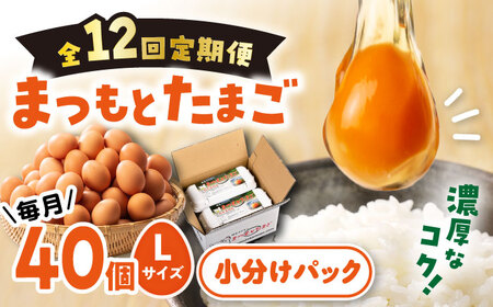 12回定期便 まつもとたまご 40個 Lサイズ 卵 CCD004 卵