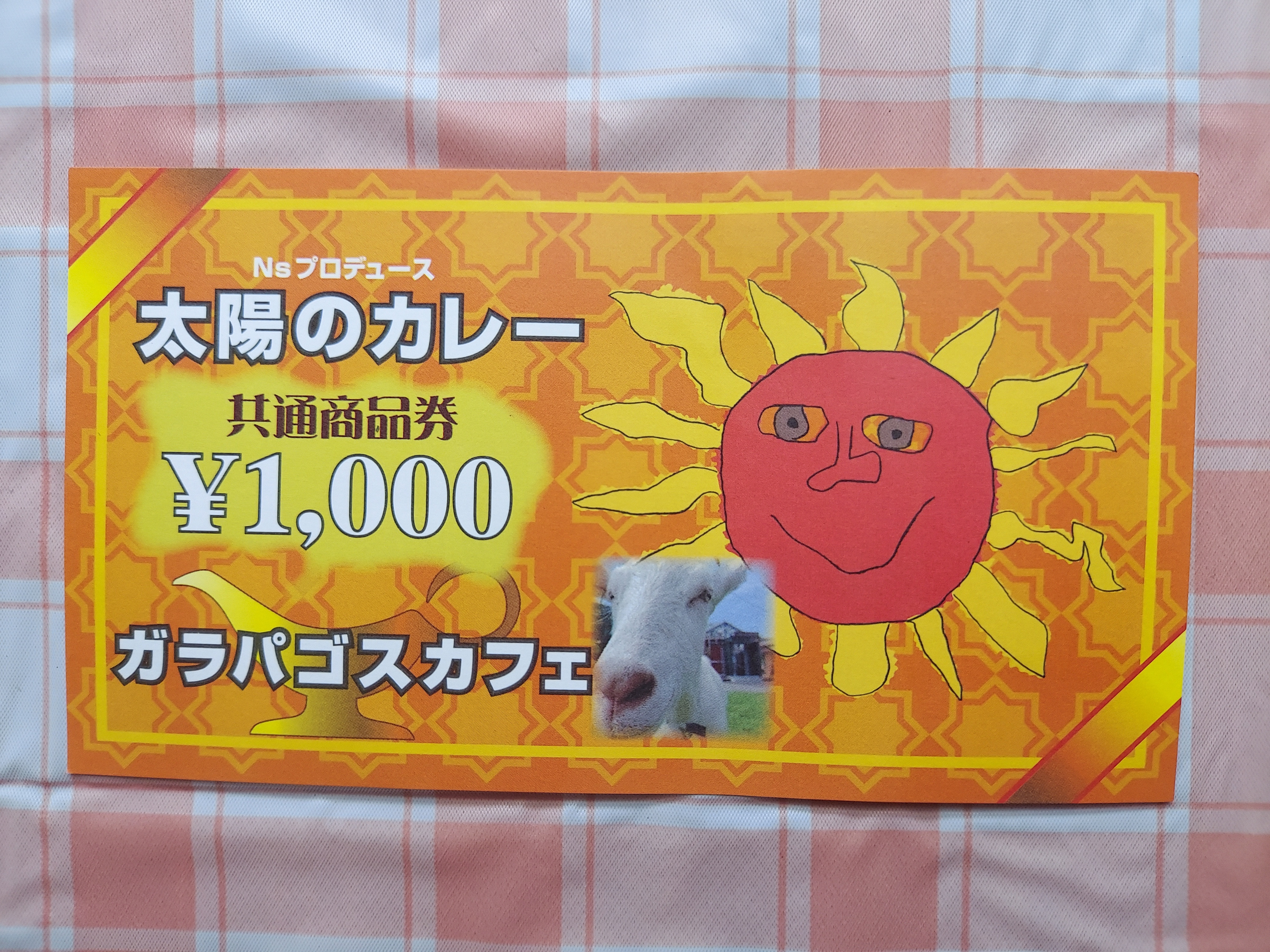 
No.229　太陽のカレーキッチンカー＆ガラパゴスカフェ共通商品券10,000円分
