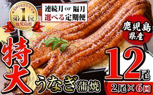 
            i1173 ＜定期便・計6回(連続月or隔月選べる！)＞＼特大サイズ／鹿児島県産 うなぎ蒲焼 2尾セット ＜（約220g×2・計約440g）×全6回＞ 定期便 たれ 山椒付きうなぎ 鰻 ウナギ 特大 特大サイズ 約220g 蒲焼き 国産 鹿児島県産 焼きたて 生産量日本一 真空パック おかず 晩御飯 特別な日 土用の丑の日 【薩摩川内鰻】
          