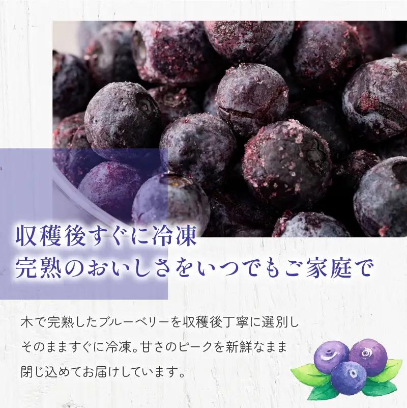 森のともだち農園 冷凍ブルーベリー 1kg