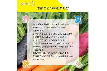 【野菜 3回 定期便】旬の京野菜セット　毎月お届けレギュラーコース（全3回【 野菜 野菜定期便 野菜詰め合わせ 野菜セット 京野菜 】） [033KH001R]